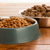 Can You Mix Grain Free and Grain Dog Food? Understanding the Right Approach for Your Furry Friend