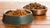 Can You Mix Grain Free and Grain Dog Food? Understanding the Right Approach for Your Furry Friend