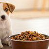 Can You Mix Puppy and Adult Dog Food? Understanding Dog Nutrition