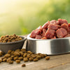 Can You Mix Raw Dog Food and Kibble? A Comprehensive Guide for Pet Owners