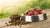 Can You Mix Raw Dog Food and Kibble? A Comprehensive Guide for Pet Owners