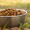 Can You Mix Two Different Dry Dog Foods? Understanding the Pros and Cons