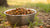 Can You Mix Two Different Dry Dog Foods? Understanding the Pros and Cons