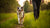 Can You Over Exercise a Dog? Understanding the Balance Between Health and Activity