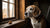 Can You Put Broth on Dry Dog Food? A Comprehensive Guide for Pet Owners