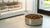 Can You Put Dry Dog Food in the Fridge? The Ultimate Guide to Proper Storage for Fresh Kibble