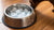 Can You Put Ice in a Dog's Water Bowl? Let's Unpack the Myths and Facts!