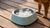 Can You Put Ice in Your Dog's Water Bowl?-140790857967