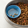 Can You Put Water in Dry Dog Food? Exploring the Benefits and Drawbacks