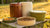 Can You Save Wet Dog Food? Essential Storage Tips for Pet Owners