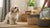 Can You Store Dry Dog Food in the Freezer? Essential Tips for Pet Owners