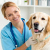 Can You Test Dogs for Food Allergies? Understanding Allergy Testing for Your Canine Companion