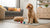 Can You Vacuum Seal Dry Dog Food? Your Complete Guide to Freshness and Storage