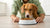 Can You Warm Up Wet Dog Food? The Ultimate Guide for Caring Pet Owners