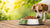 Can Your Dog Eat Cat Food? Understanding the Risks and Recommendations-140295110895