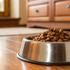 Choosing the Perfect Spot: Where to Put Your Dog Food Bowl