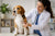Common Beagle Health Problems and Prevention Tips