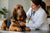 Common Bloodhound Health Problems and How to Manage Them