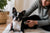 Common Boston Terrier Health Problems and Care Tips