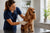 Common Cocker Spaniel Health Problems and Prevention