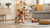 Crafting the Best Homemade Soft Dog Biscuits: Healthy, Delicious, and Easy-to-Make Recipes for Your Beloved Pup