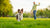 Creative Ways to Exercise Your Dog Without Walking