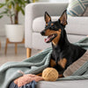 Delicious and Nutritious Homemade Puppy Treats Recipes Every Dog Will Love