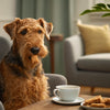 Delicious Homemade Dog Apple Treats with Apples: A Complete Guide