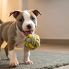 Delightful Sweet Potato Dog Treats Recipe for Happy Pups