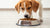Determining the Duration for Dogs to Consume Puppy Food: An In-Depth Resource for Dog Owners