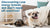 Discovering Low-Energy Companions: What Dog Breeds Don’t Need a Lot of Exercise?