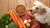 Discovering What Are the Best Foods for Dogs with Allergies-141044023535