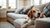 Discovering What Dogs Don't Require a Lot of Exercise: Perfect Companions for Busy Lives