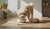 Discovering What Is the Best Senior Dog Food for Small Dogs-141235126511