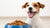 Discovering What Wet Dog Food is the Best Quality for Your Furry Friend