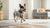 Do Calming Dog Treats Work? Understanding Their Benefits and Limitations