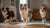 Do Dog Dental Chews Work? A Comprehensive Guide to Keeping Your Pup's Smile Healthy