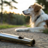Do Dog Whistles Stop Barking? Understanding Their Effectiveness in Training