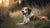 Do Dogs' Behavior Change After Spaying? A Comprehensive Guide to Understanding Behavioral Changes