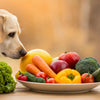 Do Dogs Eat Human Food: A Guide to Safe Sharing and Healthy Habits