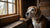 Do Dogs Get Bored of Kibble? Understanding Your Dog's Diet and Meal Enjoyment