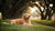 Do Dogs Get Sore from Exercise? Understanding Muscle Soreness in Our Canine Companions