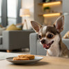 Do Dogs Know We Take Care of Them? Understanding the Bond Between Humans and Their Canines