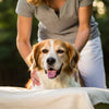 Do Dogs Like Massages? Understanding the Benefits and Techniques for Your Canine Companion