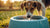 Do Dogs Like Water Fountain Bowls? Unleashing the Truth About Pet Hydration