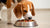 Do Dogs Like Wet or Dry Food? Understanding the Best Diet for Your Canine Companion