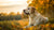 Do Dogs Lose Weight in Winter? Understanding Seasonal Weight Changes in Our Pets