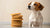 Do Dogs Make Biscuits? The Fascinating Reasons Behind This Adorable Behavior