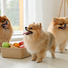 Do Dogs Need Grain-Free Food? Understanding the Benefits and Risks