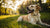Do Dogs Need Kibble? Exploring the Best Nutrition for Our Canine Companions
